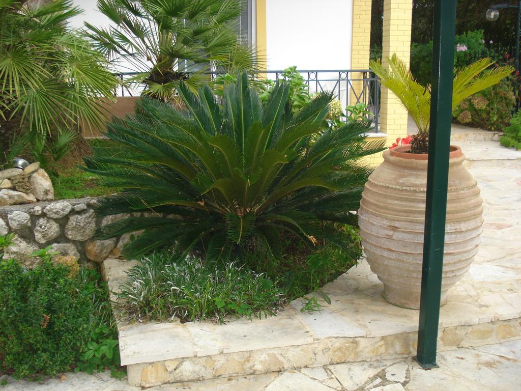 Iron House Apartment Agios Georgios  Ngoại thất bức ảnh